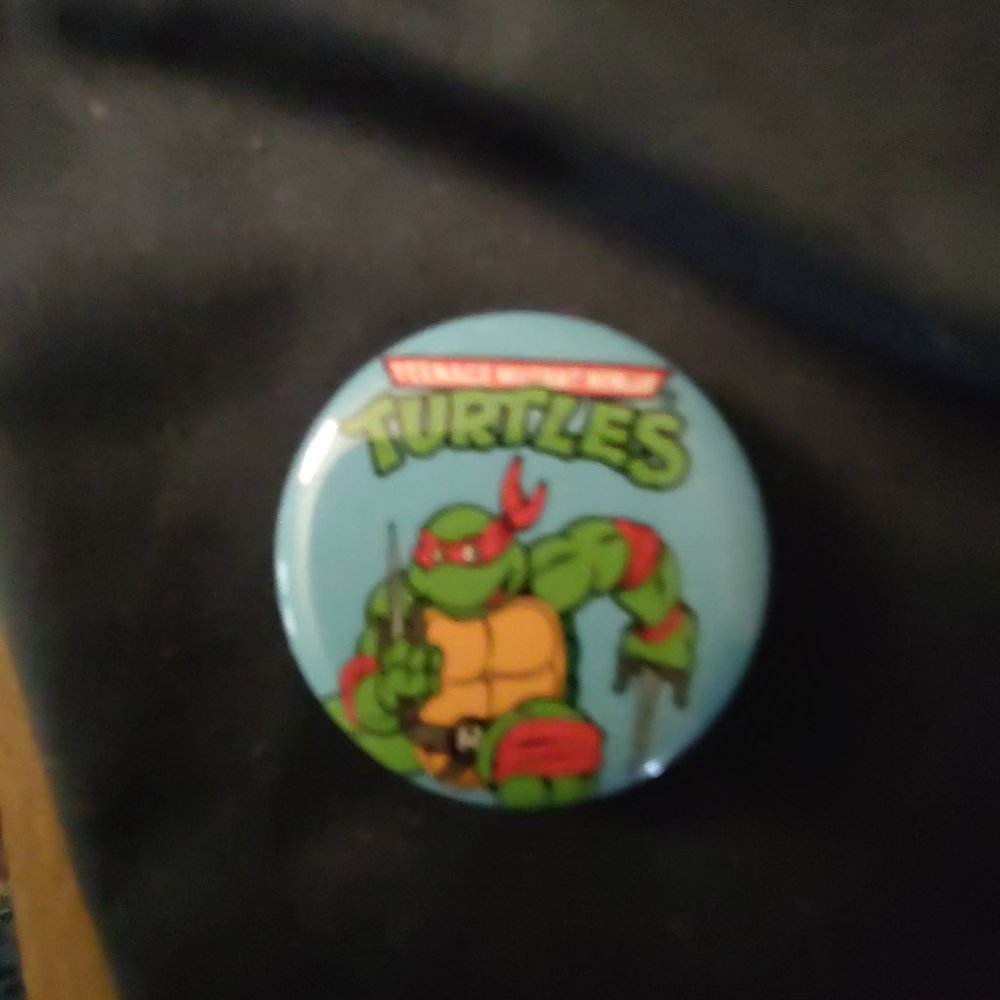 Teenage mutant ninja turtle pin